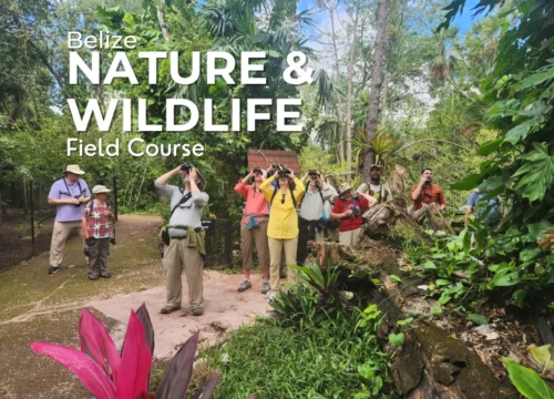 Belize Nature and Wildlife Field Course