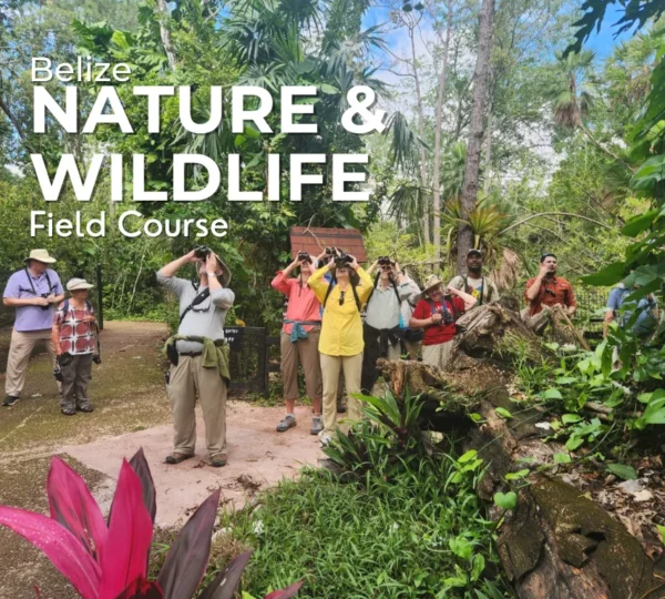 Belize Nature and Wildlife Field Course