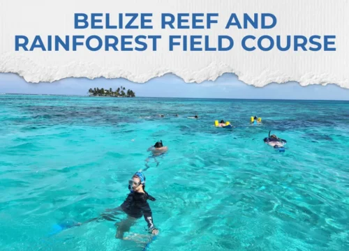 Belize Reef and Rainforest Field Course