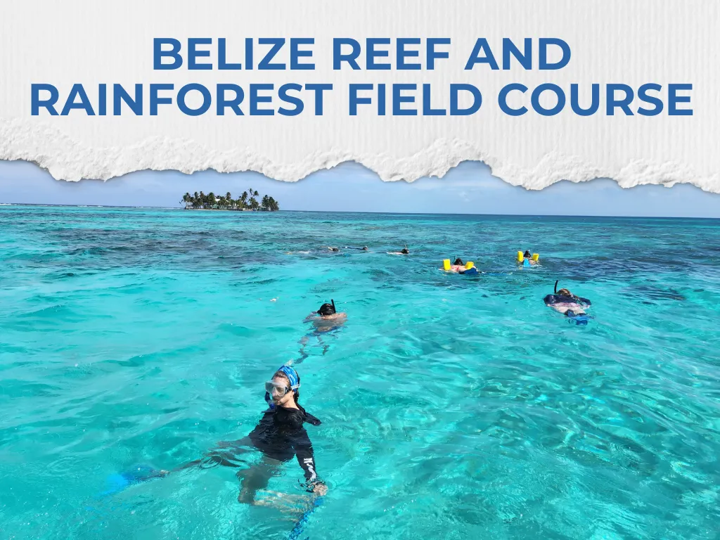 Belize Reef and Rainforest Field Course