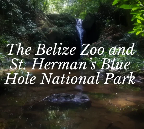 The Belize Zoo and St. Herman’s Blue Hole National Park