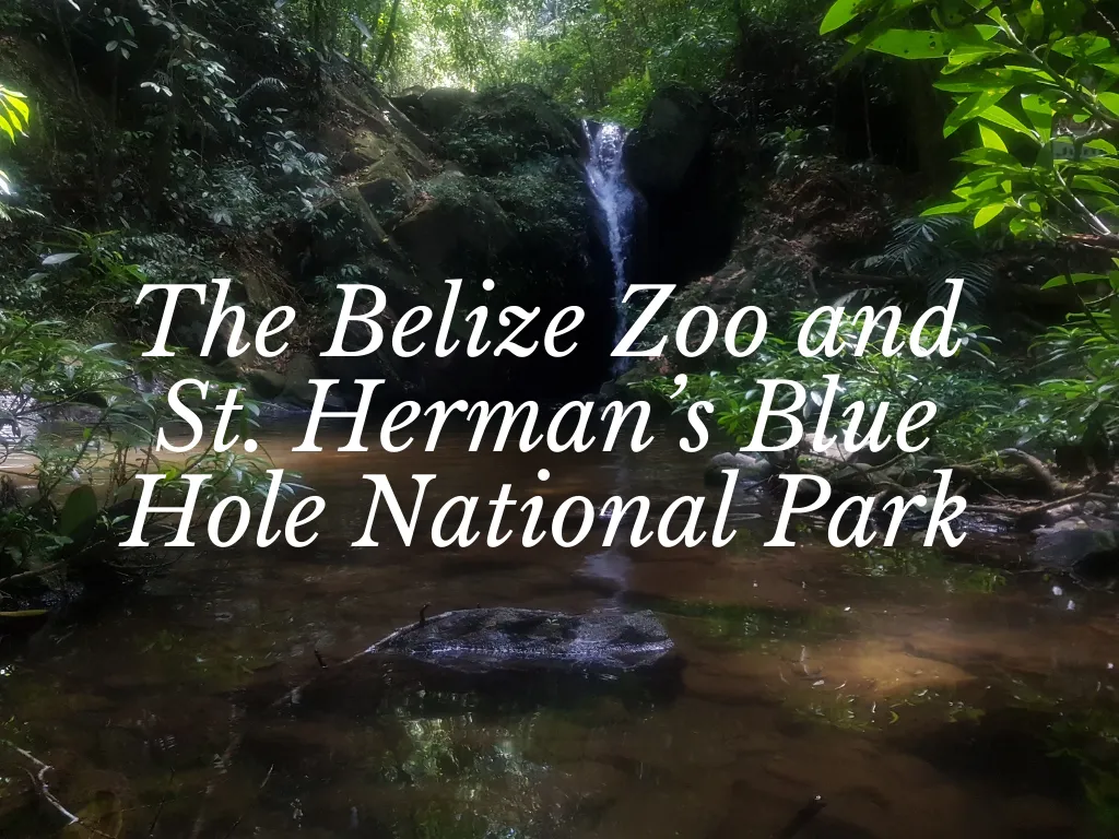 The Belize Zoo and St. Herman’s Blue Hole National Park
