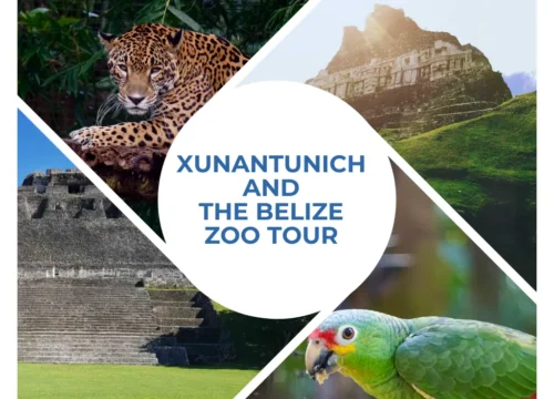 Xunantunich and The Belize Zoo Tour
