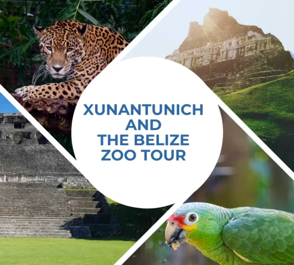 Xunantunich and The Belize Zoo Tour